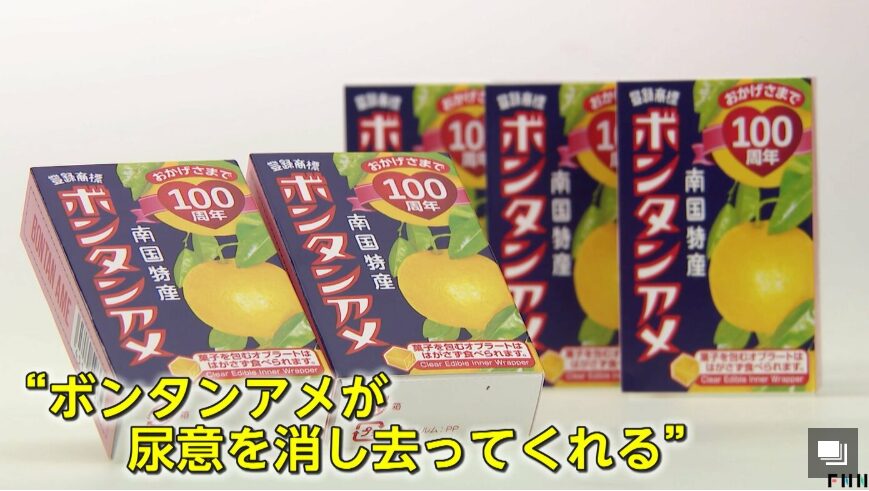 FNN プライムオンライン